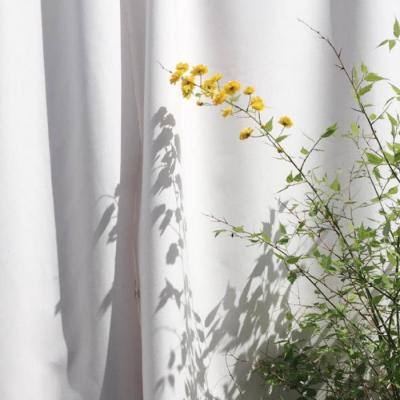 蜘蛛侠自行车竞速赛